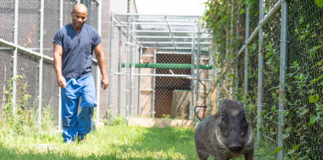 06:50: The Zoo (S3 E7) (S3) | Animal Planet | 1/14 2026