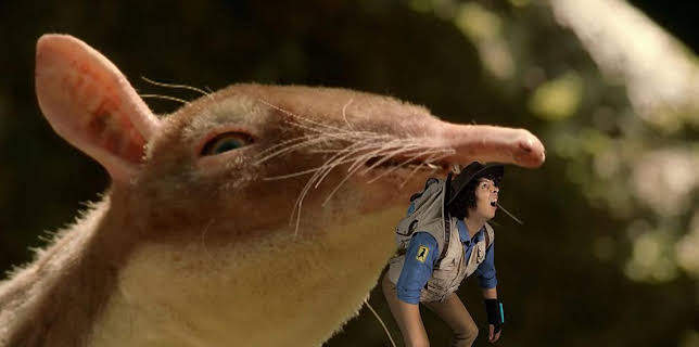 5:00 PM: Andy's Prehistoric Adventures | Cbeebies | 1/14 2026