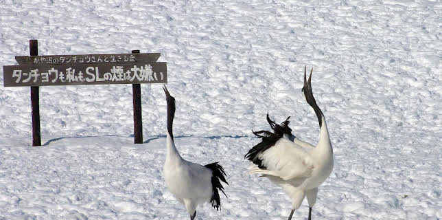 21:00: Hokkaido - Japans wilder Norden | HR Fernsehen | 11/28 2025