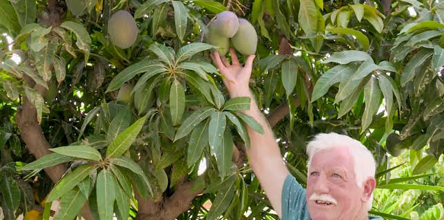 8:00 AM: Bargain-Loving Brits in the Sun (S9 E31) (S9) | 5 Star | 11/24 2025