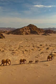 16:40: El Kalahari, la otra ley de la selva: Episodio 1 | La Otra | 10/19 2026