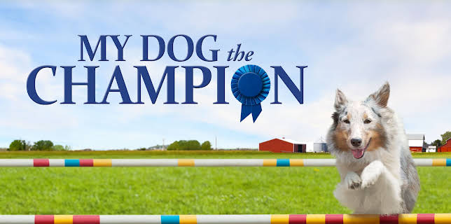 My Dog The Champion (2014)