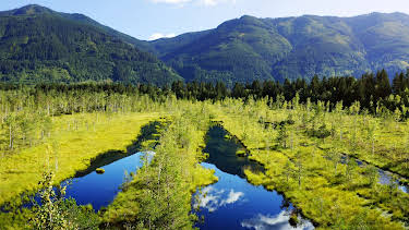 04:25: Geheimnisvolle Moorlandschaften | 3SAT | 4/29 2026