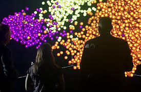 NOVA Wonders Season 1: What's Living in You?