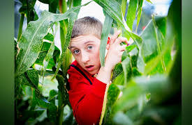 Little Lunch: The Old Climbing Tree
