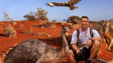 15:15: Superviviente por naturaleza: Los ríos de la vida | Nat Geo Wild | 7/14 2025