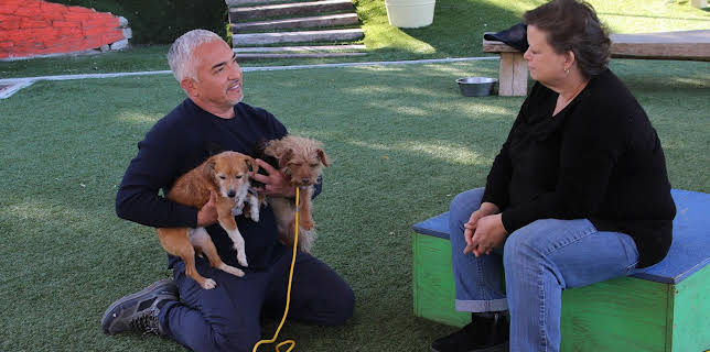 07:30: Cesar Millan: Better Human Better Dog - Bessere Menschen, bessere Hunde | Sixx | 3/1 2026