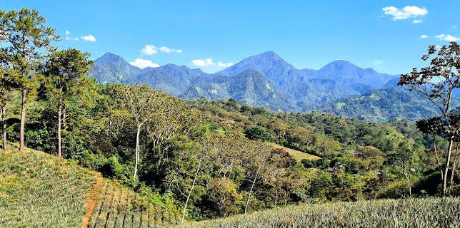 17:39: Honduras | Arte | 11/6 2025