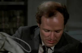 Remington Steele Season 1: Steele in Circulation