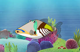 I'm a Fish: I'm a Triggerfish