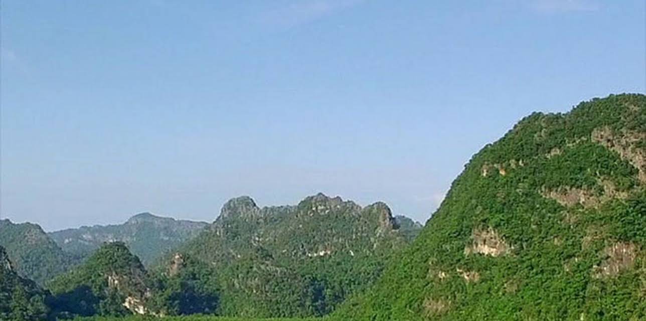 The Forgotten Forests of Malaysia