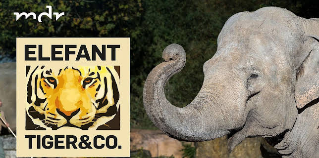 14:25: Elefant, Tiger & Co. | MDR Fernsehen | 11/10 2025