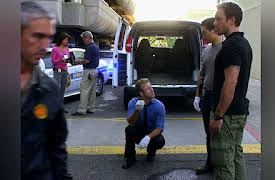 Hawaii Five-0, Season 1: Heihei