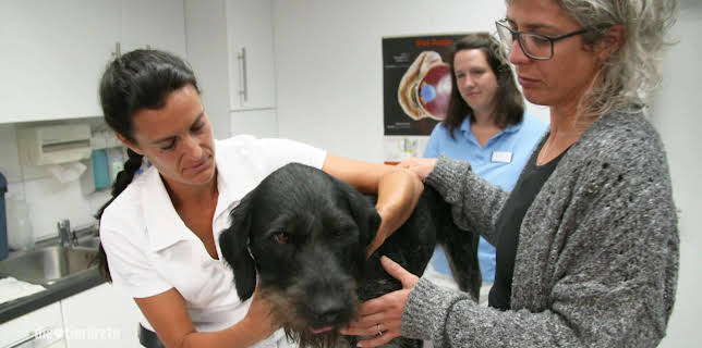 10:20: Die Tierärzte - Retter mit Herz (42) | WDR Fernsehen | 3/10 2026