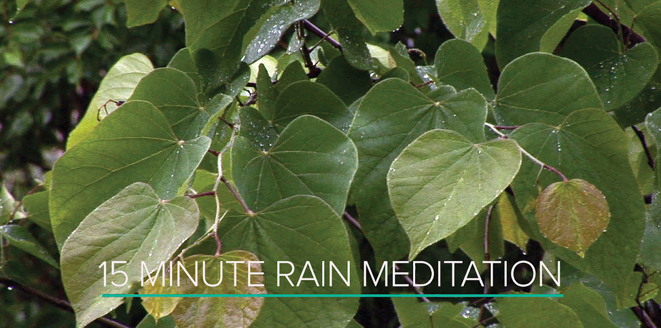 15 Minute Rain Meditation