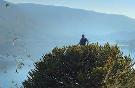 Patagonia: Life on the Edge of the World: Episode 2