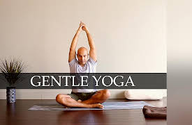 30 Days of Yoga: The Beginner Series with Ritesh Sheth: Gentle Yoga: Focus and Clarity | Days 5, 15, & 25