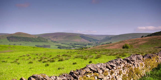 03:30: En plats på landet (S30 E55) (S30) | TV8 | 11/19 2025