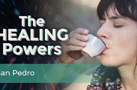 Healing Powers: San Pedro