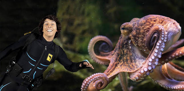 12:10 PM: Andy's Aquatic Adventures (S2) | Cbeebies | 11/16 2025