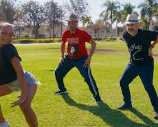 Charterfeber Sverige