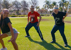 Charterfeber (Sverige)