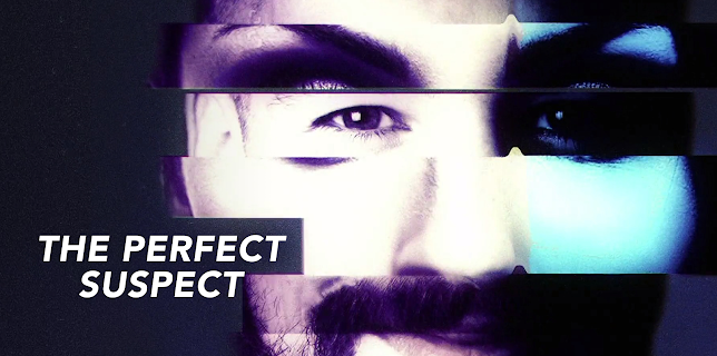 The Perfect Suspect
