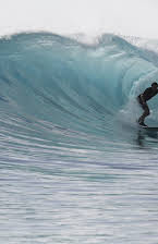 Giuliano Cedroni som creator