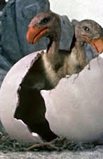 Alfred Brown as Dr. Bill Evans