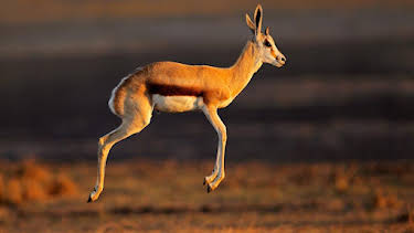 11:30 PM: Mindful Escapes: Breathe, Release, Restore | BBC Four | 3/30 2026