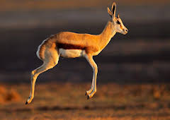 Mindful Escapes: Breathe, Release, Restore