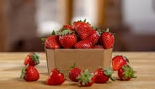 Erdbeeren – Genuss mit Beigeschmack