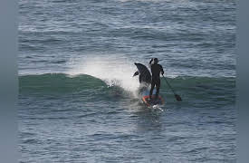 World's Wildest Holidays: Episode 3