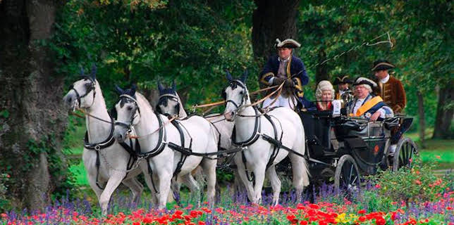 00:50: Welt der Tiere | BR Fernsehen | 11/2 2025