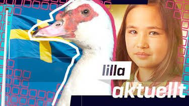 09:45: Lilla Aktuellt | Barnkanalen | 6/17 2026