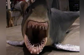 Marine Machines: Hollywood Underwater