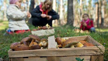 18:30: rbb Gartenzeit | RBB Fernsehen | 9/27 2026