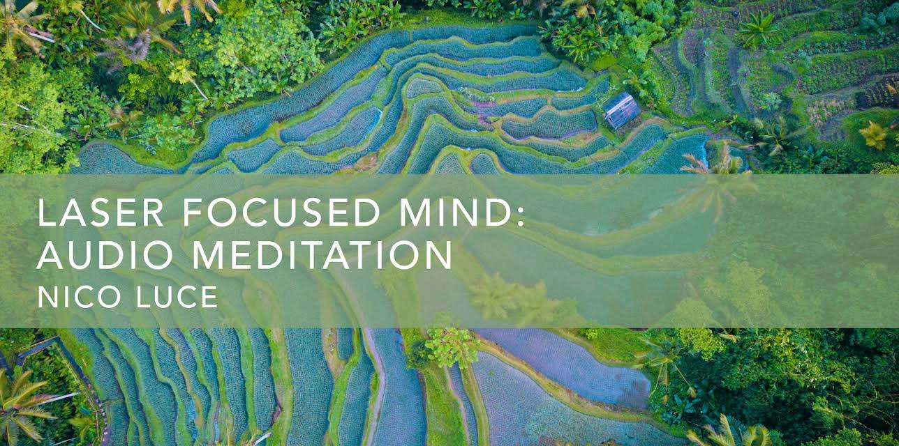 Laser Focused Mind (2021)