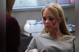 V: The Complete First Season: Fruition