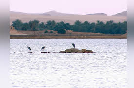 Green Paradise: Egypt - Water and Sand