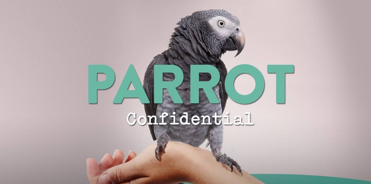 Parrot Confidential