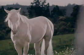 Mystic Season 1: The Outsider