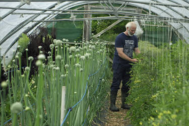 03:15: Irischer Kompass (3/4) | 3SAT | 4/30 2026