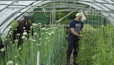 Irischer Kompass (3/4)