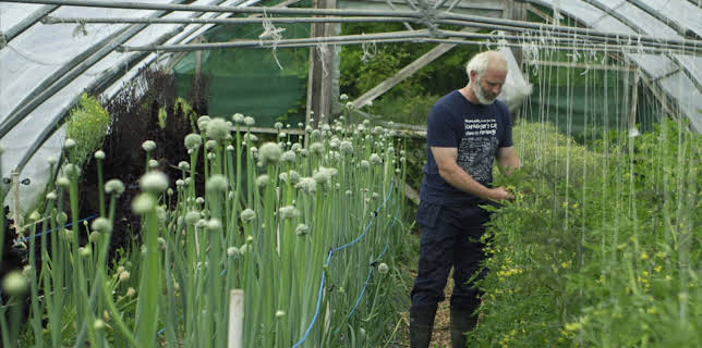 02:20: Irischer Kompass (3/4) | 3SAT | 12/1 2025