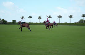 Polo: Ära, berömmelse och hästar: Fara