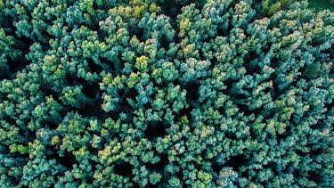 17:45: Nordtour unterwegs - Baumkrone, Bojenbrett und Bahnromantik | NDR Fernsehen | 4/6 2026
