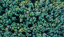 Nordtour unterwegs - Baumkrone, Bojenbett und Bahnromantik