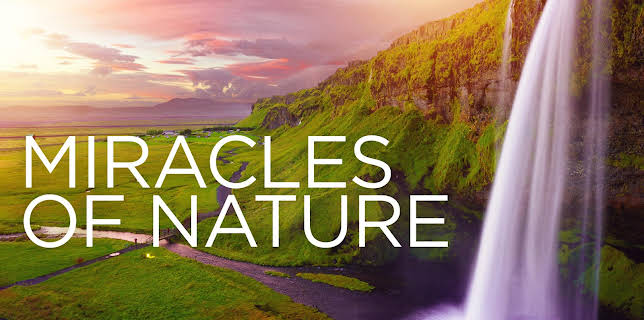 Miracles of Nature