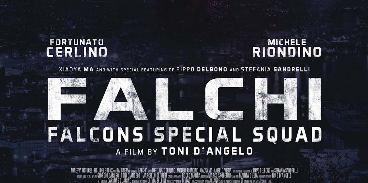 Falcons Special Squad (2017)